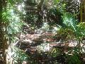 DSCN0533