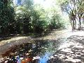 DSCN0534