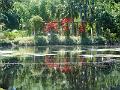 DSCN0542