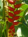 DSCN0545