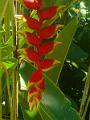 DSCN0546