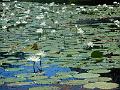 DSCN0547