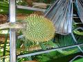 DSCN0552