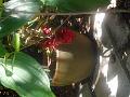 DSCN0557