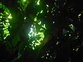 DSCN0569