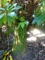 DSCN0575