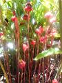 DSCN0577