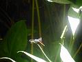 DSCN0580