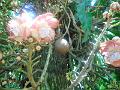 DSCN0590