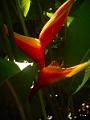 DSCN0594