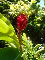 DSCN0601