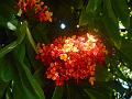 DSCN0603