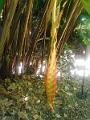 DSCN0604