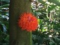 IMG_0829