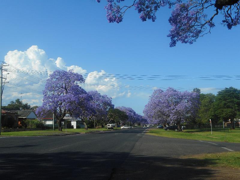 DSCN0630.JPG