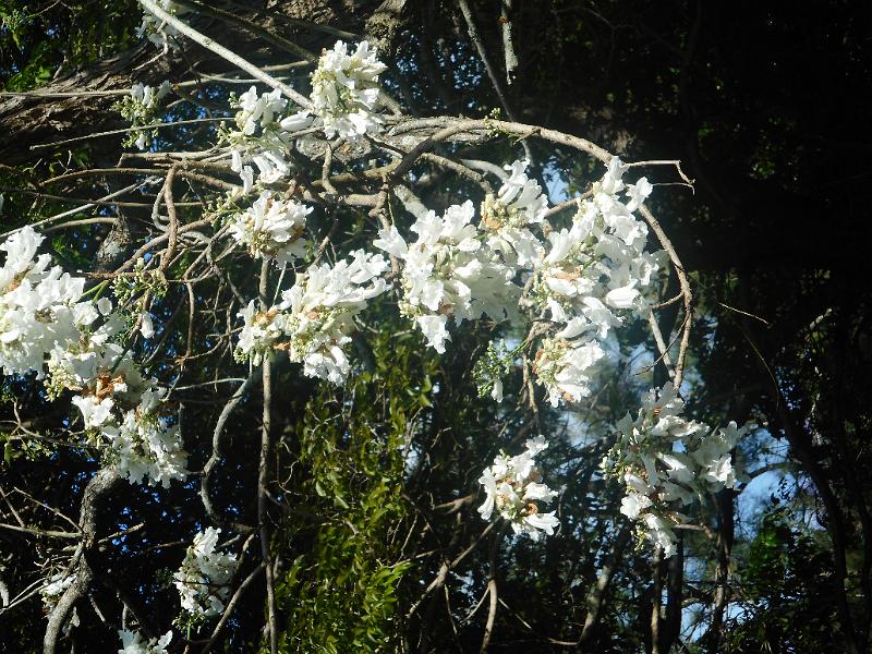 DSCN0633.JPG