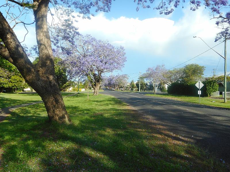 DSCN0638.JPG