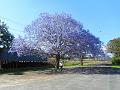 DSCN0610
