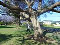DSCN0618