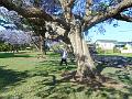 DSCN0619