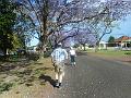 DSCN0621