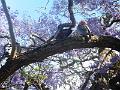 DSCN0624