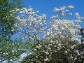 DSCN0632