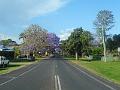 DSCN0642