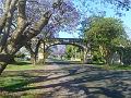 DSCN0645