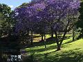 IMG_0862