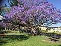 IMG_0869
