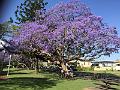 IMG_0870