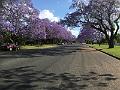 IMG_0879