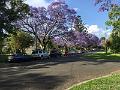 IMG_0953
