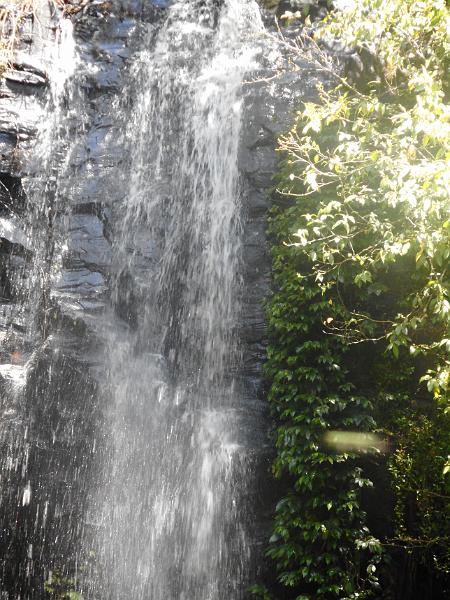 DSCN0675.JPG -           