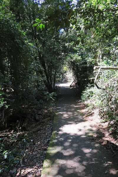IMG_2010.JPG