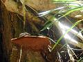 DSCN0660