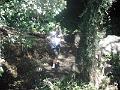 DSCN0678