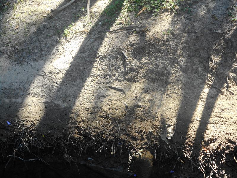 DSCN0711.JPG