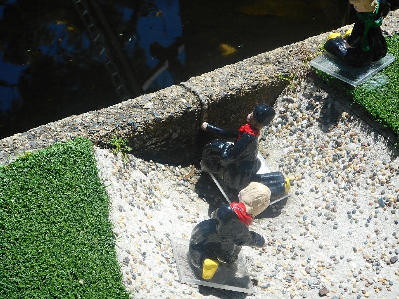 DSCN0737.JPG