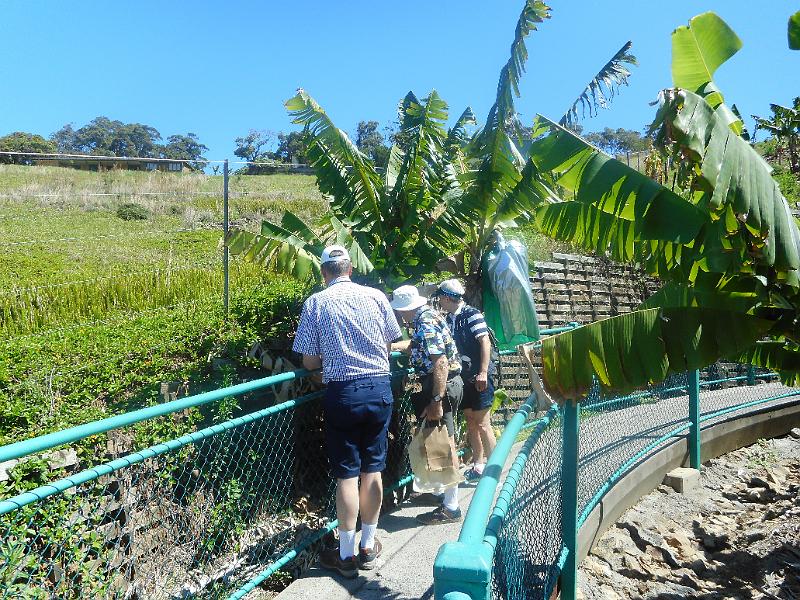 DSCN0756.JPG