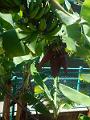 DSCN0744