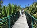 IMG_1028