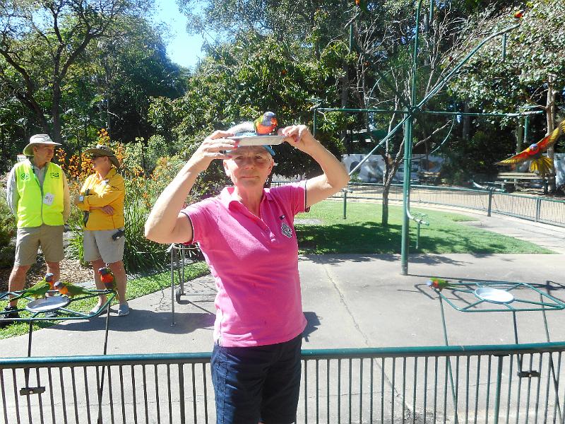 DSCN0774.JPG