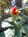 DSCN0778