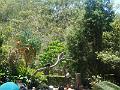 DSCN0793