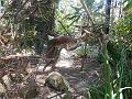 DSCN0797