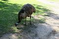 IMG_2519
