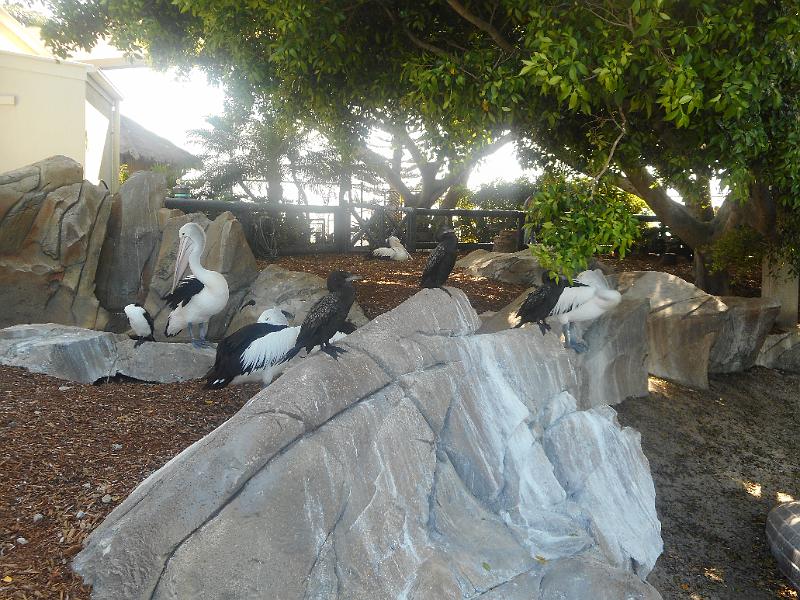 DSCN0931.JPG