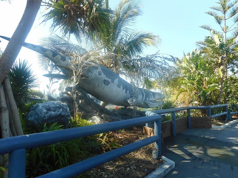 DSCN0937.JPG